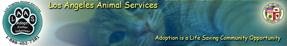 LA Animal Services Banner